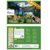 POP Out World 3D - The Animal Kingdom from Schoolbook