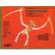 3D Holzpuzzle - Dinosaurier - Pteranodon