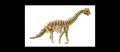 3D Holzpuzzle - Dinosaurier - Brachiosaurus - farbig
